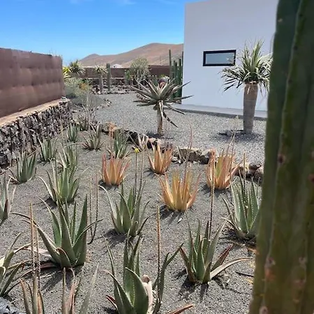 + Piscina Independiente ラ・オリーバ