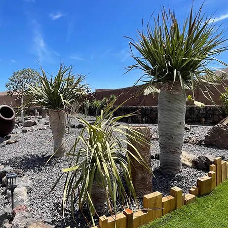 + Piscina Independiente *